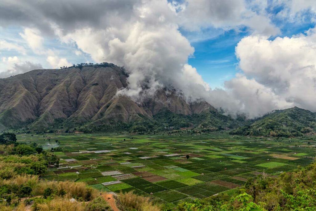 champ-bukit-selong